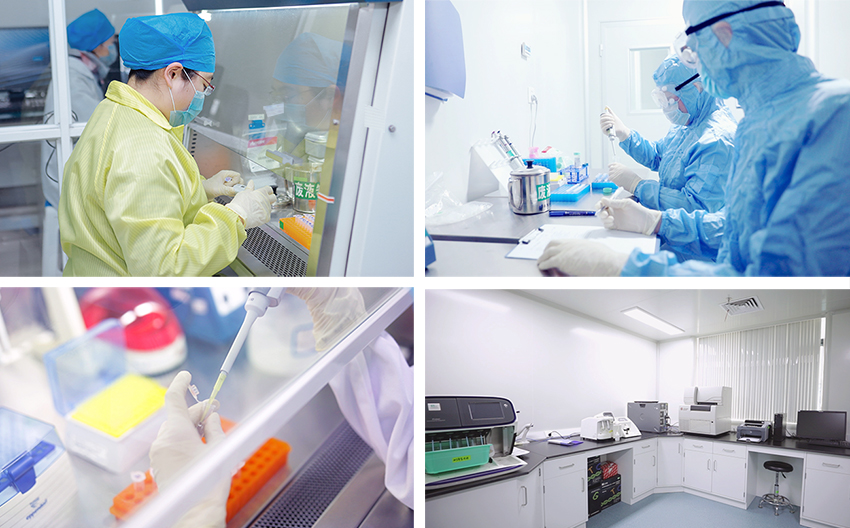 江蘇默金生物工程技術 創新驅動，引領生物技術研發前沿