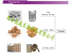 技術(shù)賦能下的產(chǎn)品報價策略與市場推廣